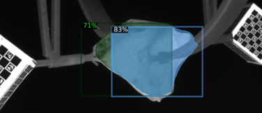 Archaeology Visual