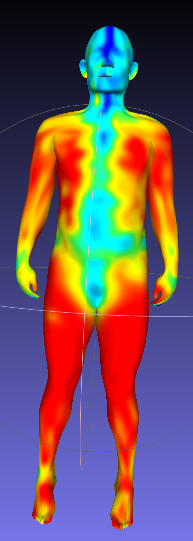 Melanoma Visual